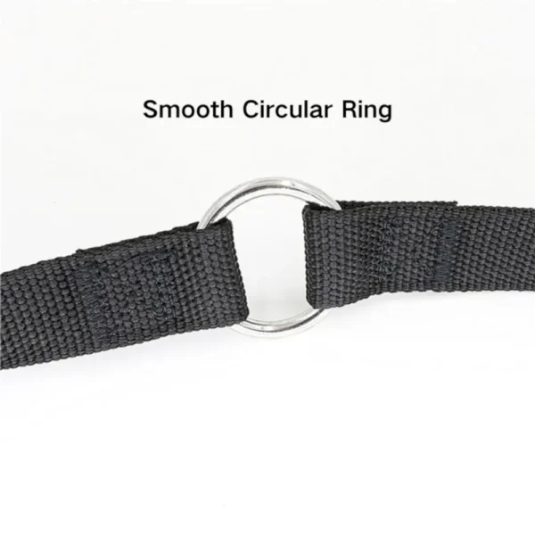 dchwm0038957-02.webp Sturdy Walking Training Adjustable Two Dog Splitter Leash – product view 2