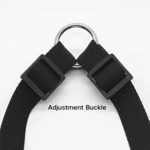 dchwm0038957-06.webp Sturdy Walking Training Adjustable Two Dog Splitter Leash – product view 6
