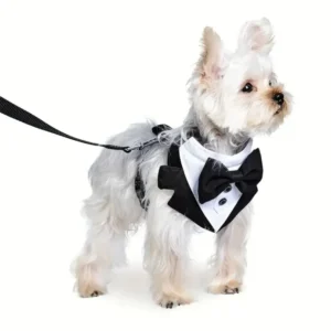 Formal Occasions Pet Vest-Style Harness with Bowtie and Adjustable Leash for Dogs | Wholesale Dog Harnesses