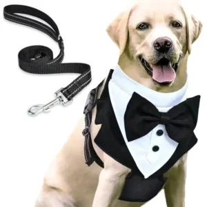Formal Occasions Pet Vest-Style Harness with Bowtie and Adjustable Leash for Dogs – product view 2