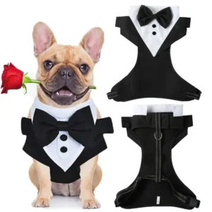 Formal Occasions Pet Vest-Style Harness with Bowtie and Adjustable Leash for Dogs – product view 3