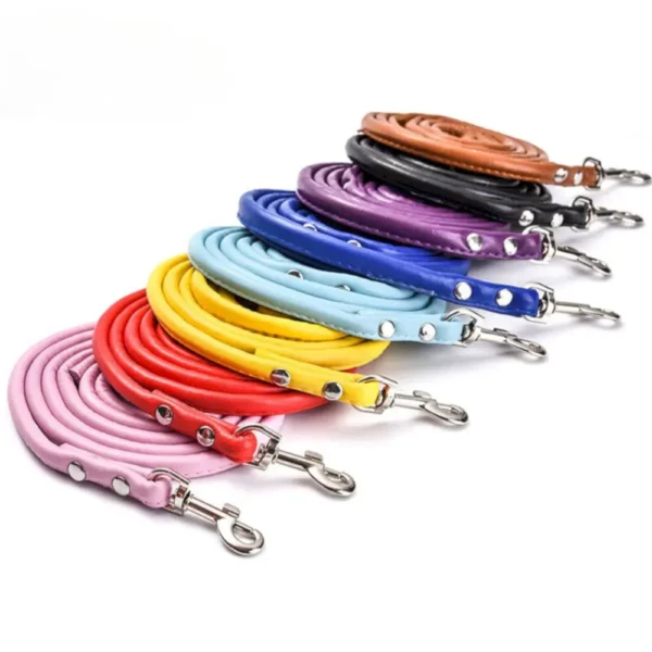 dchwm0045885-05.webp Multi Color Fashion Round PU Leather Pet Leash – product view 5