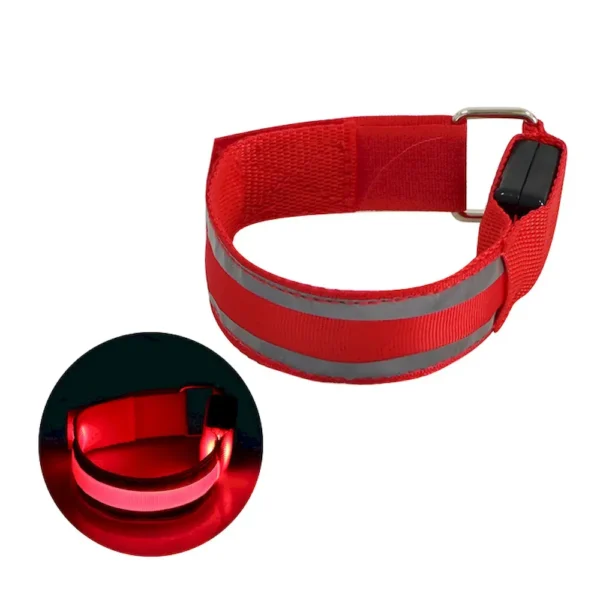 dchwm0046122-01.webp USB Rechargeable Reflective LED Dog Collar for Night Walks