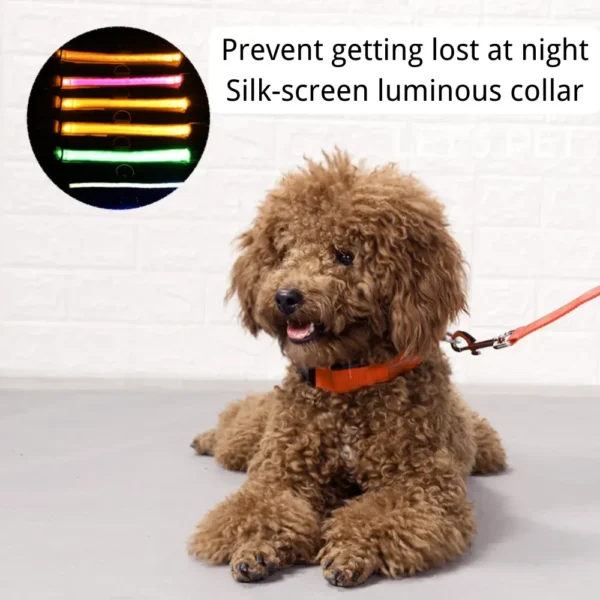 dchwm0046215-02.webp Reflective Night Safe USB Rechargeable LED Dog Collar – product view 2