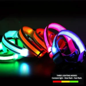 Reflective Night Safe USB Rechargeable LED Dog Collar – product view 3