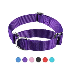 dchwm0046343-01.webp Reflective Nylon Dog Collar with Anti-Pull Design