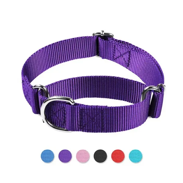 dchwm0046343-01.webp Reflective Nylon Dog Collar with Anti-Pull Design