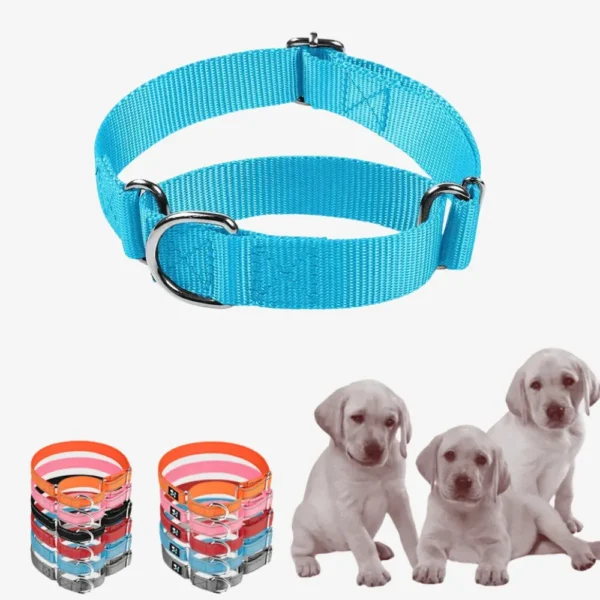 dchwm0046343-03.webp Reflective Nylon Dog Collar with Anti-Pull Design – product view 3