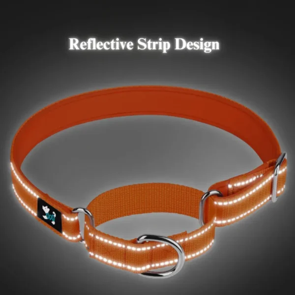 dchwm0046343-04.webp Reflective Nylon Dog Collar with Anti-Pull Design – product view 4