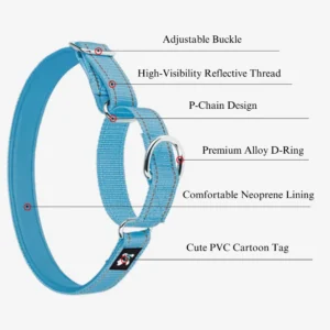 dchwm0046343-05.webp Reflective Nylon Dog Collar with Anti-Pull Design – product view 5