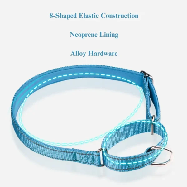 dchwm0046343-06.webp Reflective Nylon Dog Collar with Anti-Pull Design – product view 6