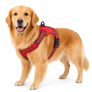 dchwm0046580-01.webp Reflective Dog Harness with Thickened Control Handle