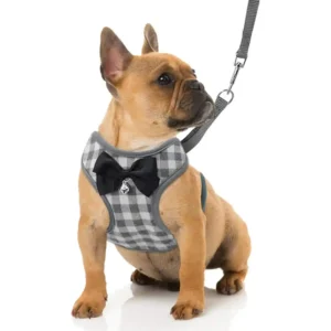 Small Dog Harness and Leash Set Pet Harness with Soft Mesh – Grey | Wholesale Dog Harnesses