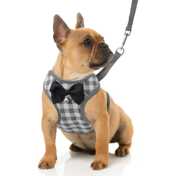 dchwm0048743-01.webp Small Dog Harness and Leash Set Pet Harness with Soft Mesh
