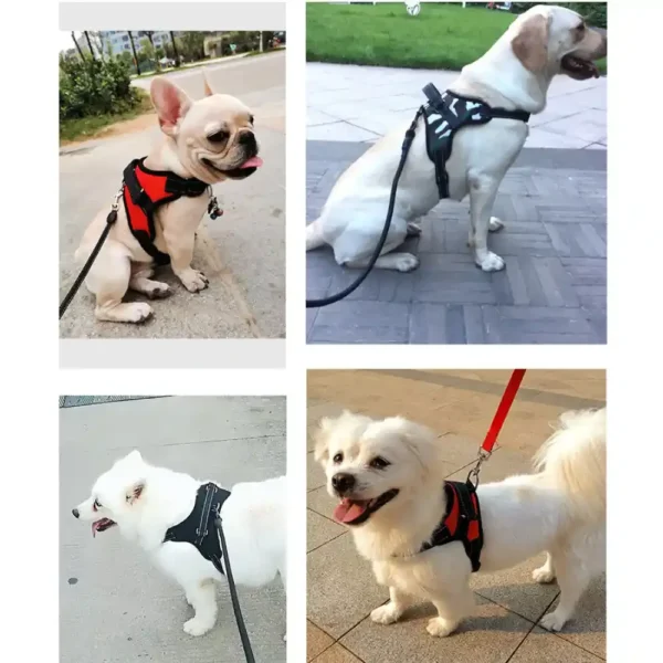 dchwm0048818-05.webp Dog Vest Harness with Handle, Pet Harness for Small Medium Large Dogs – product view 5