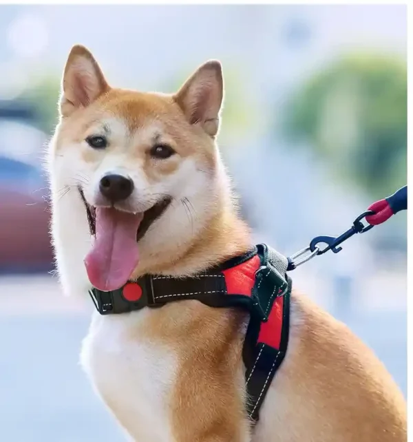 dchwm0048818-06.webp Dog Vest Harness with Handle Pet Harness for Small Medium Large Dogs – product view 4