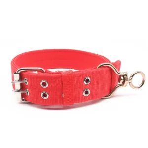 Dog Neck Collars for Small and Medium-Sized Dogs Pet Supplies Collars | Wholesale Dog Collars