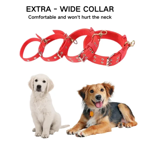 dchwm0050328-04.webp Dog Neck Collars for Small and Medium-Sized Dogs Pet Supplies Collars – product view 4