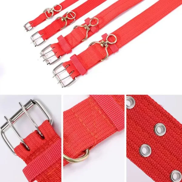 dchwm0050328-05.webp Dog Neck Collars for Small and Medium-Sized Dogs Pet Supplies Collars – product view 5