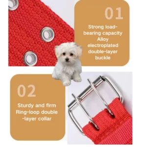 dchwm0050328-06.webp Dog Neck Collars for Small and Medium-Sized Dogs Pet Supplies Collars – product view 6