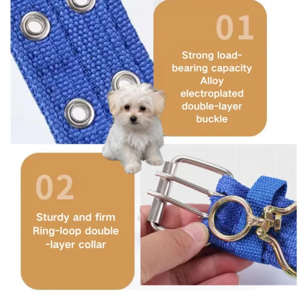 dchwm0050451-05.webp Necklace Dog Collars for Medium Dogs Collar – product view 5