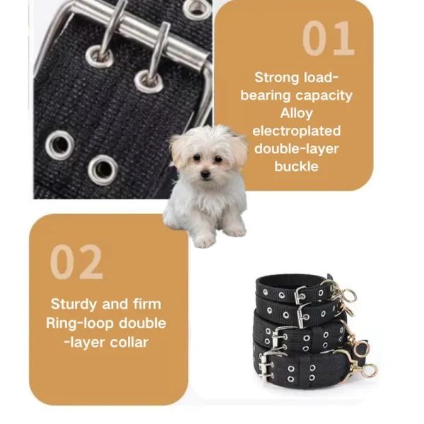 dchwm0051328-05.webp Black Durable Dog Collar for Dogs with Metal Buckle – product view 5