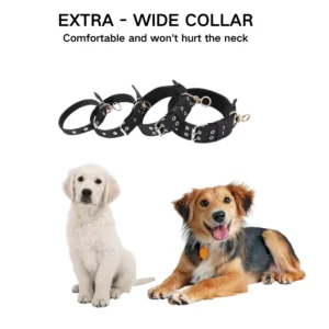 dchwm0051328-06.webp Black Durable Dog Collar for Dogs with Metal Buckle – product view 6