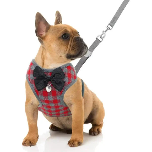 Small Dog Harness and Leash Set Pet Harness with Soft Mesh