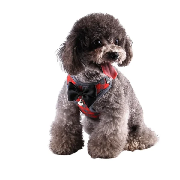 dchwm0063645-04.webp Small Dog Harness and Leash Set Pet Harness with Soft Mesh – product view 4