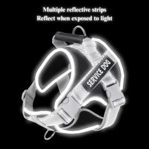 dchwm0095471-03.webp Reflective Adjustable Pet Harness for Large Dogs – product view 3