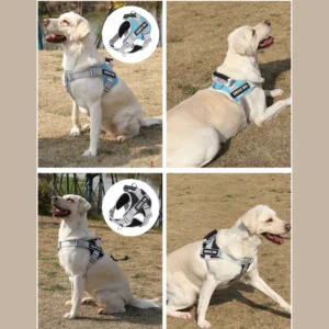 dchwm0095471-07.webp Reflective Adjustable Pet Harness for Large Dogs – product view 7