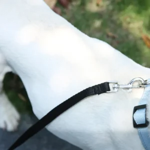 dchwm0102921-05.webp 47.2 Inches Long Pet Outdoor Durable Black Nylon Dog Leash – product view 5