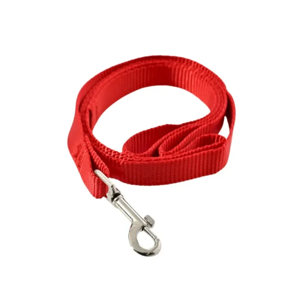 Durable Nylon Dog Leash with Bolt Snap for All Dog Sizes