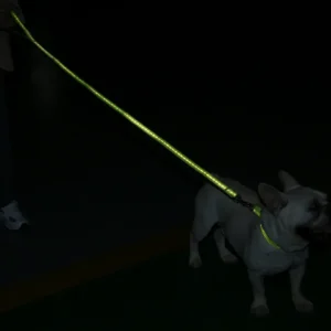 dchwm0103484-03.webp Adjustable Collar Night Visibility Reflective Pet Dog Leash Collar Set – product view 3