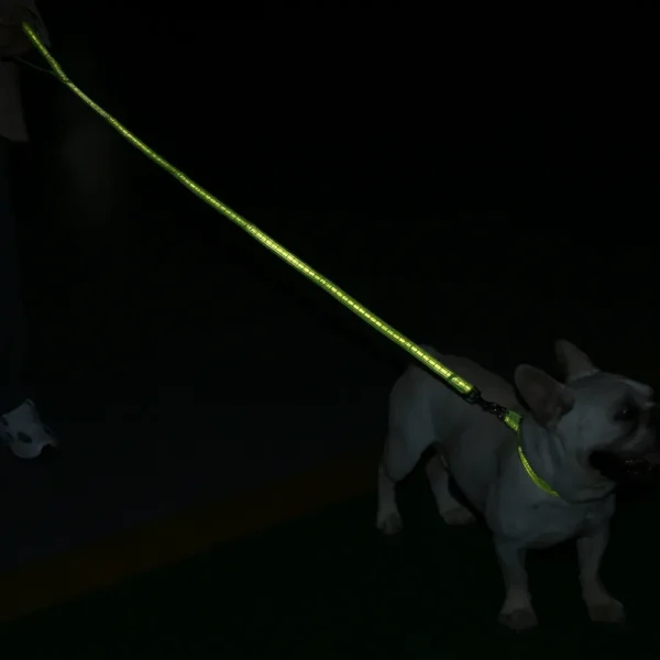 dchwm0103484-03.webp Adjustable Collar Night Visibility Reflective Pet Dog Leash Collar Set – product view 3