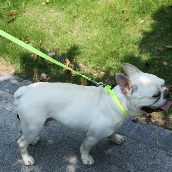 dchwm0103484-05.webp Adjustable Collar Night Visibility Reflective Pet Dog Leash Collar Set – product view 5