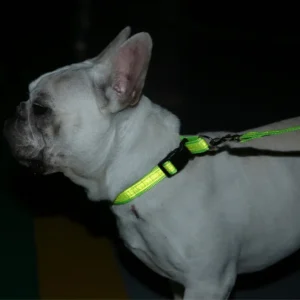 dchwm0103484-07.webp Adjustable Collar Night Visibility Reflective Pet Dog Leash Collar Set – product view 7