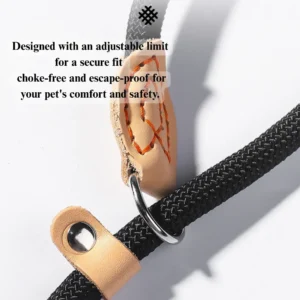 dchwm0124983-04.webp Durable Outdoor Cartoon Dog Leash – product view 4