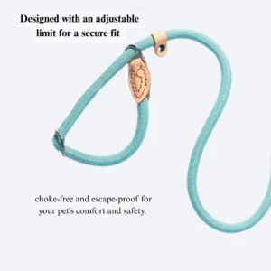 Outdoor Trendy Cartoon Dog P-Leash – product view 4