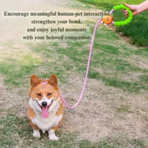 Dog Leash Cartoon Style with P Rope Design – product view 2