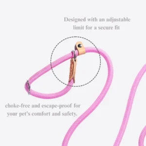 Dog Leash Cartoon Style with P Rope Design – product view 3