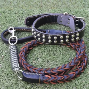 Durable Cowhide Braided Dog Leash for Large and Medium Dogs – product view 3
