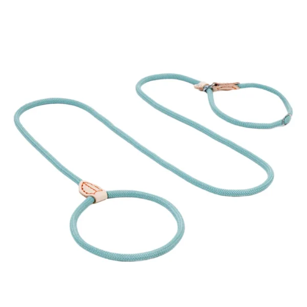 Outdoor Woven Lead P Type Rope Pet Dog Leashes