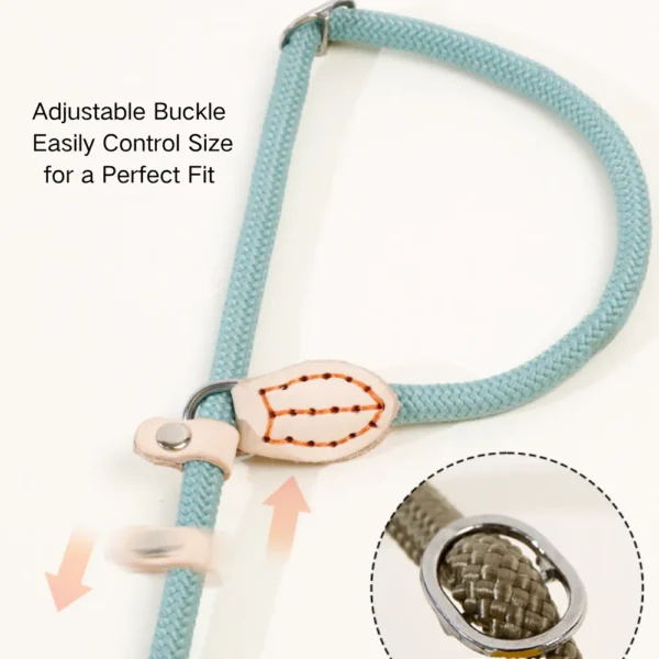 dchwm0143674-02.webp Outdoor Woven Lead P Type Rope Pet Dog Leashes – product view 2