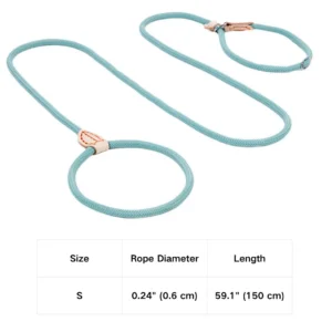 Outdoor Woven Lead P Type Rope Pet Dog Leashes – product view 3