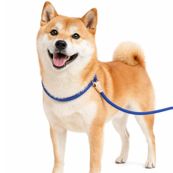 Outdoor Woven Lead P Type Rope Pet Dog Leashes for Training and Walking