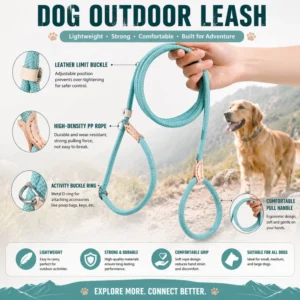 Outdoor Woven Lead P Type Rope Pet Dog Leashes for Training and Walking – product view 4
