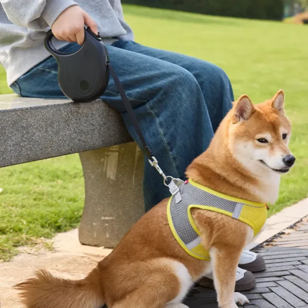 dchwm0144749-03.webp 9.8 Ft Pet Accessories Outdoor Automatic Heavy Duty Retractable Dog Leash – product view 3
