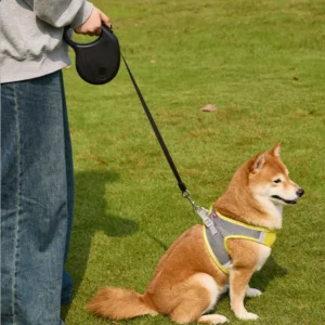 dchwm0144749-04.webp 9.8 Ft Pet Accessories Outdoor Automatic Heavy Duty Retractable Dog Leash – product view 4