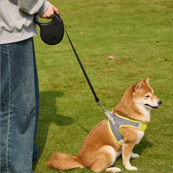 dchwm0144749-04.webp 9.8 Ft Pet Accessories Outdoor Automatic Heavy Duty Retractable Dog Leash – product view 4